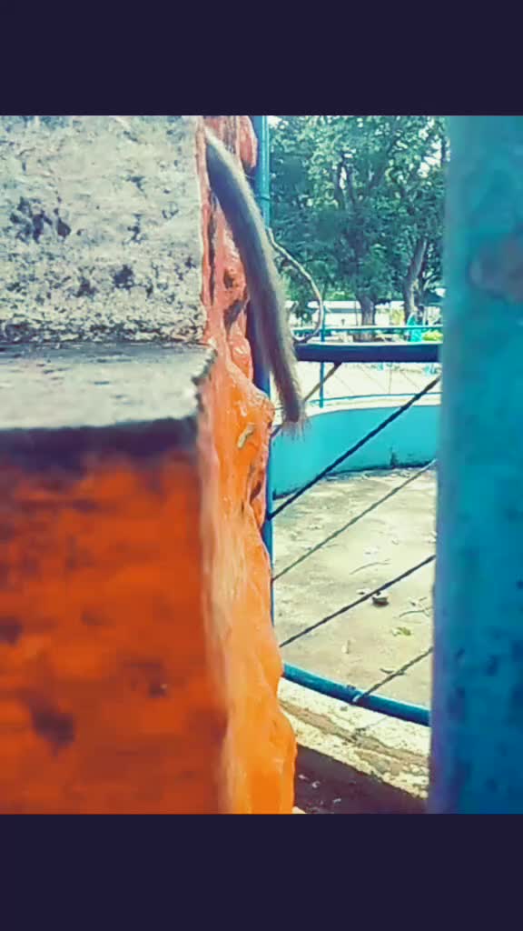 @Sâkthiřideř