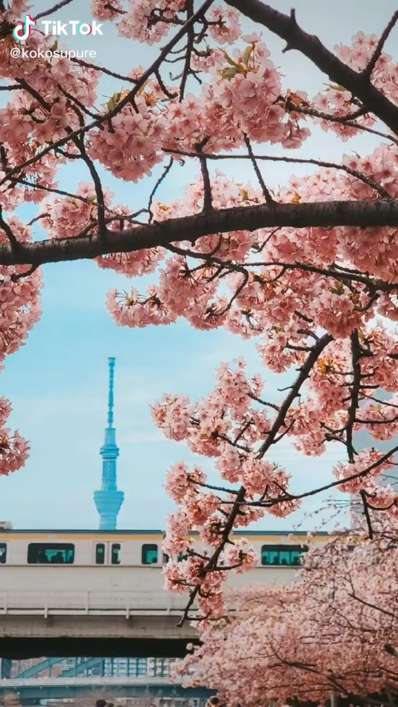@kanako