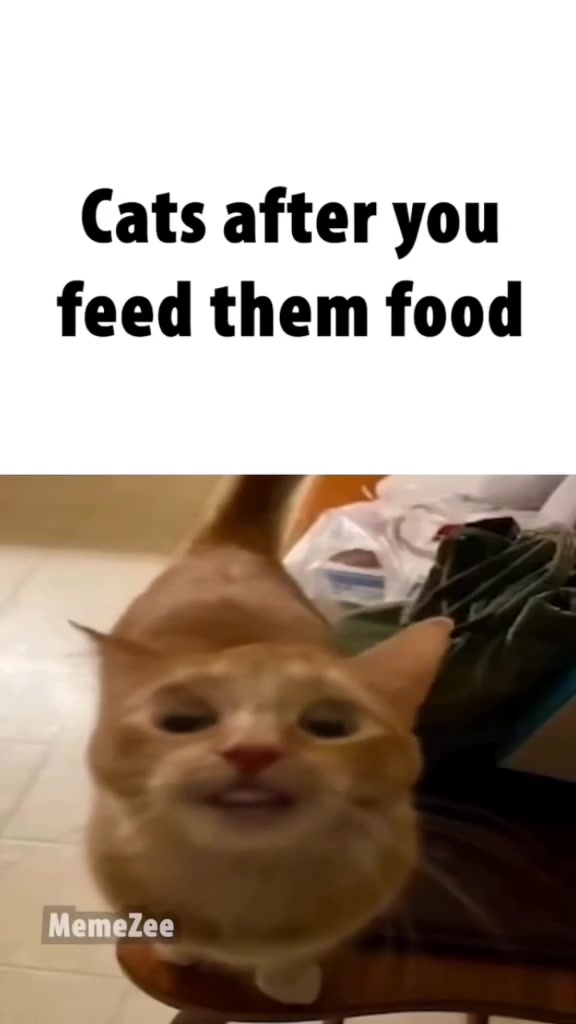 @๐๐๐๐๐๐๐๐ฃ._