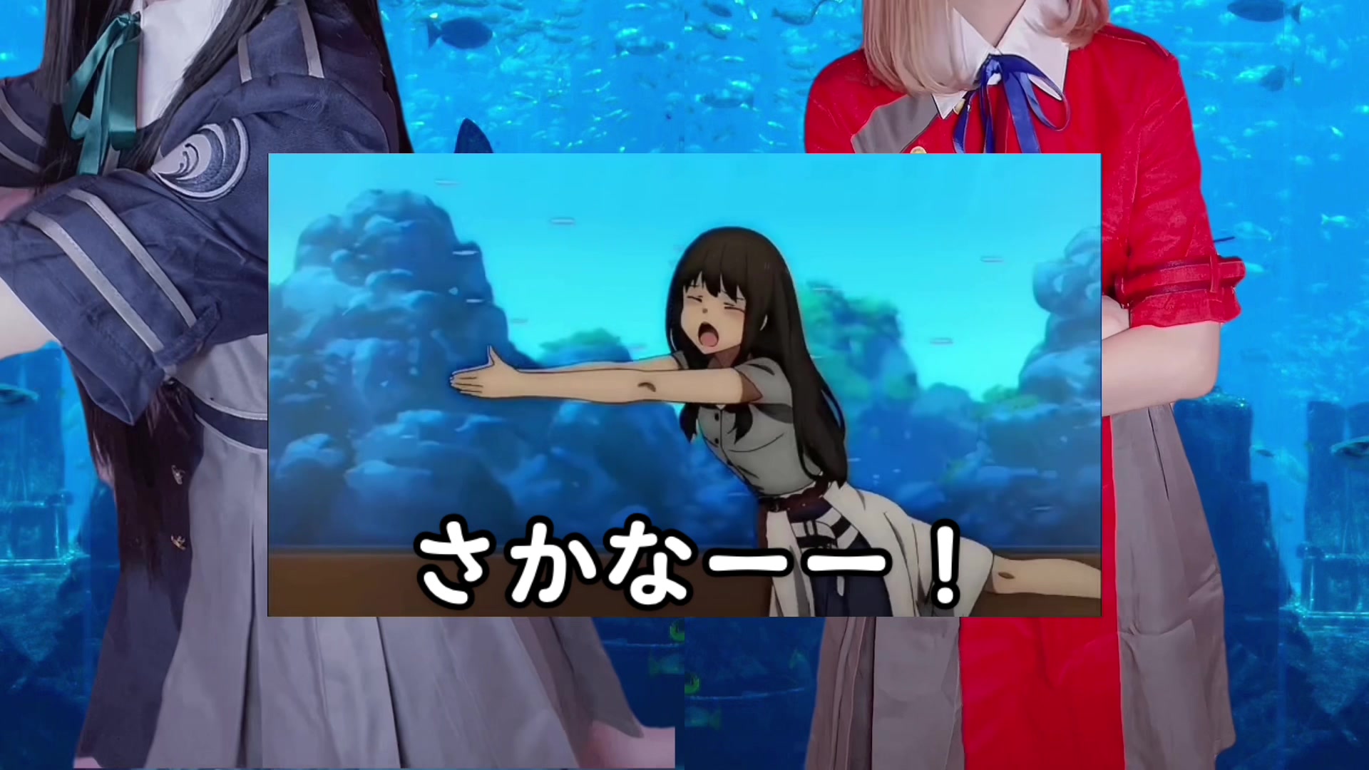 @🍬きら星9/5池袋アコマル🌙.*&middot;̩͙