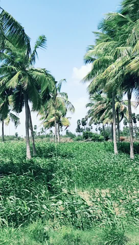 @sreenivas