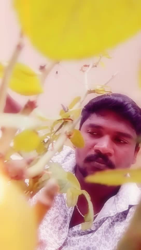 @Pandi Durai Sp