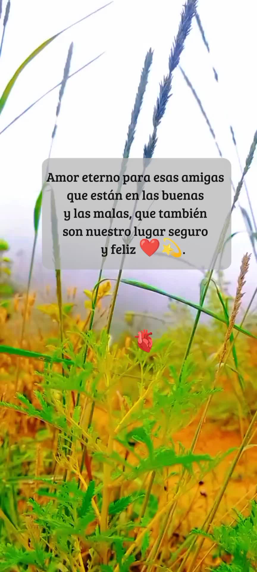 @mari_bel