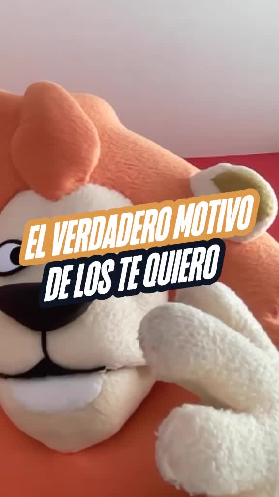 @Leoncito del f&uacute;tbol ⚽️🦁