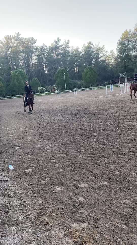 @Fıratcan Dalmış