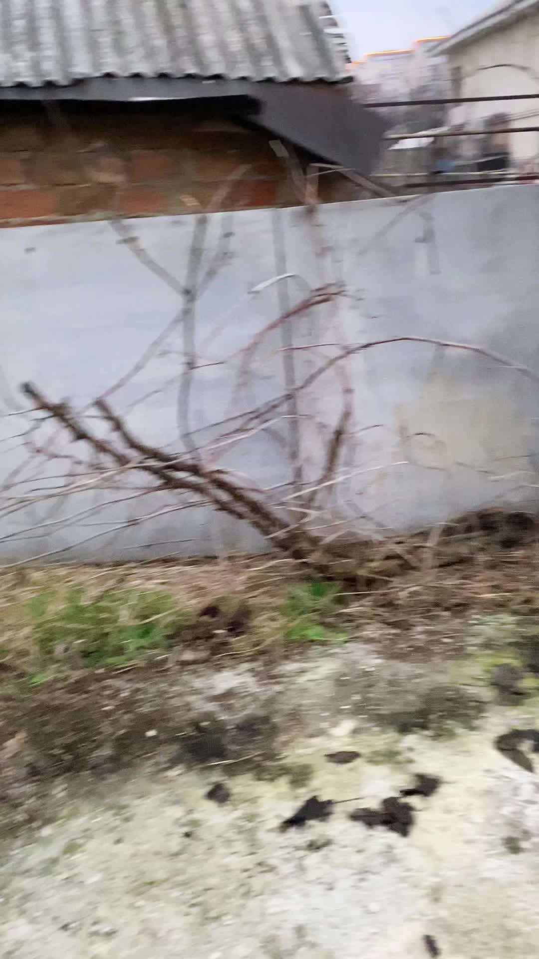 @Илья Яковлев2626