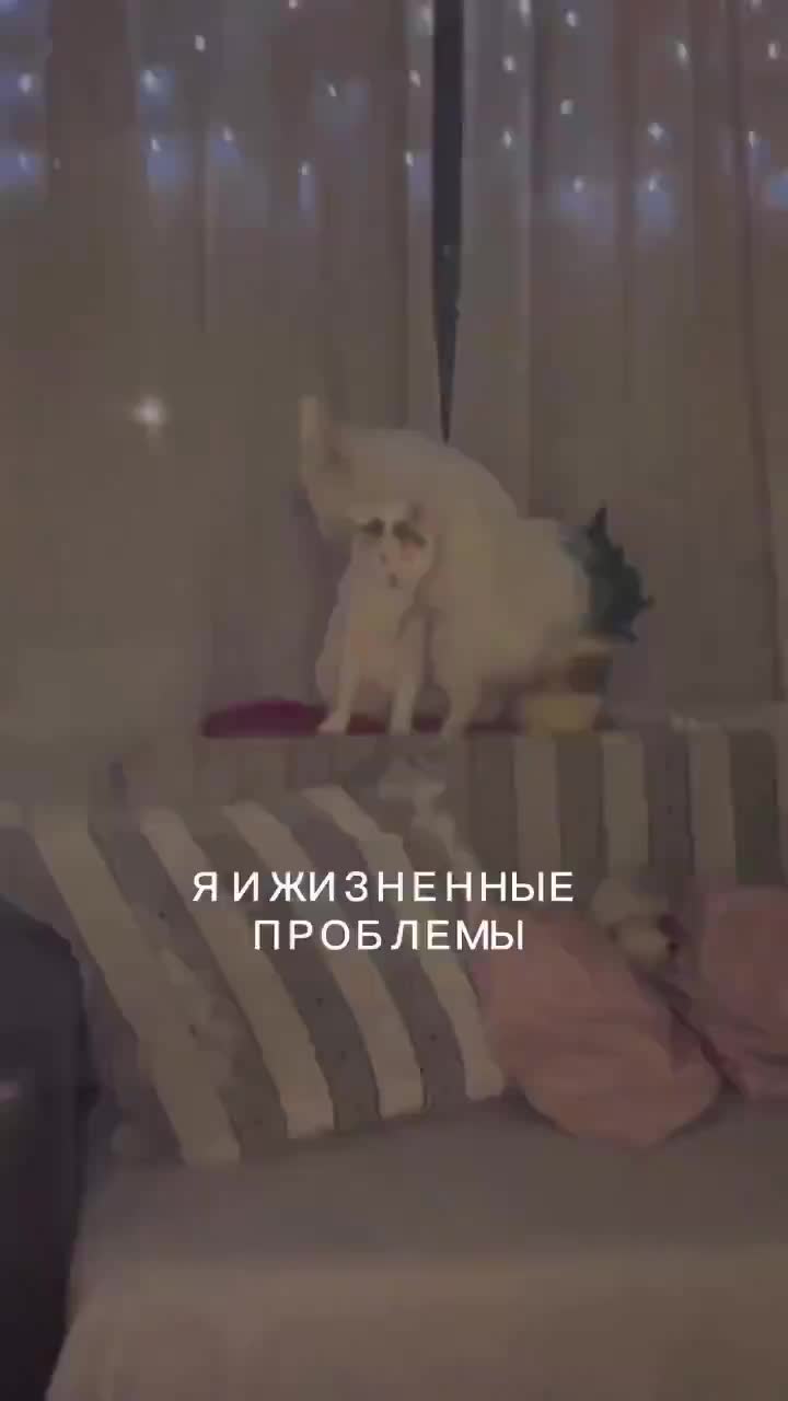 @lamonnur