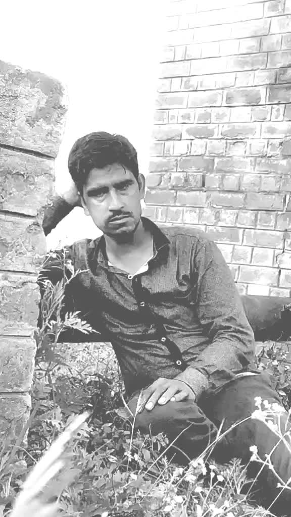 @Lavit