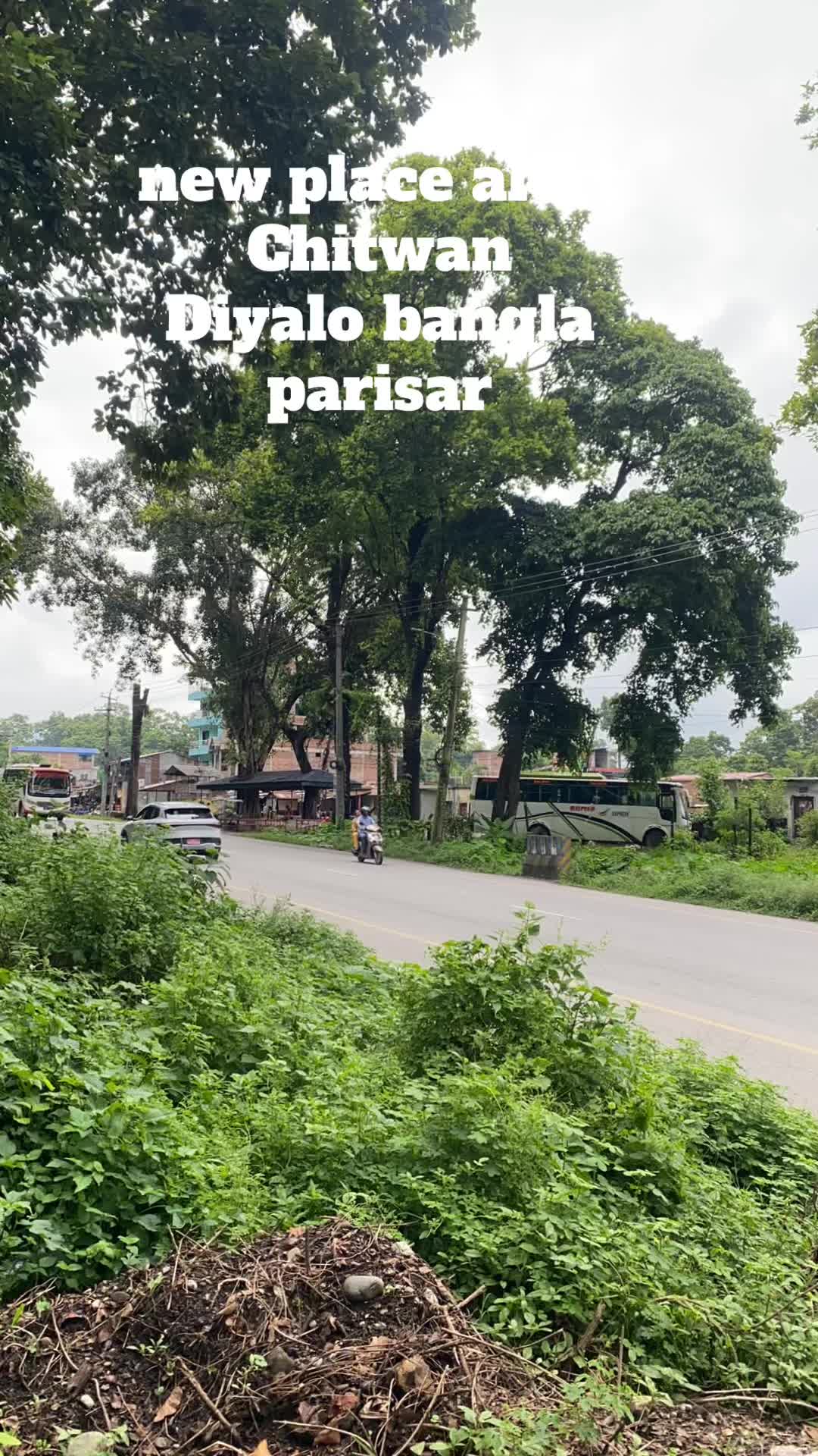 @Anisha lama