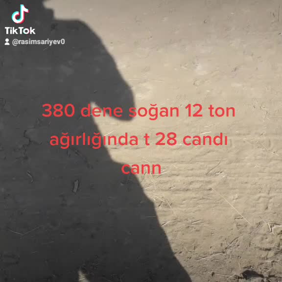 @Rasim Sariyev