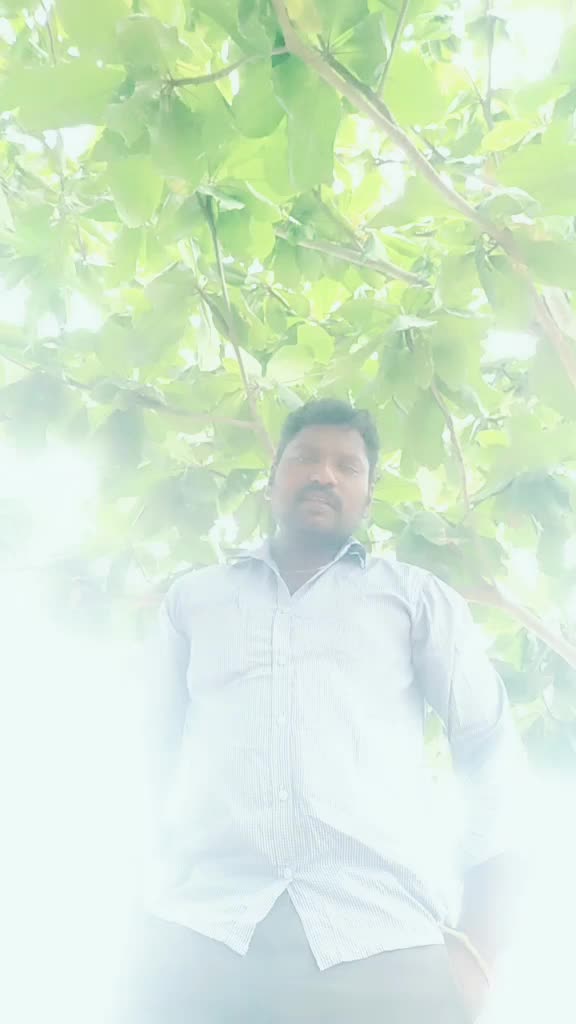 @mass