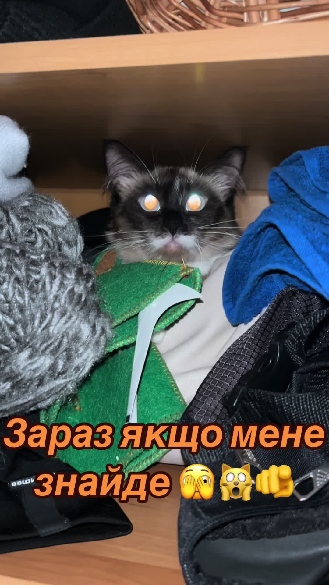 @Persik