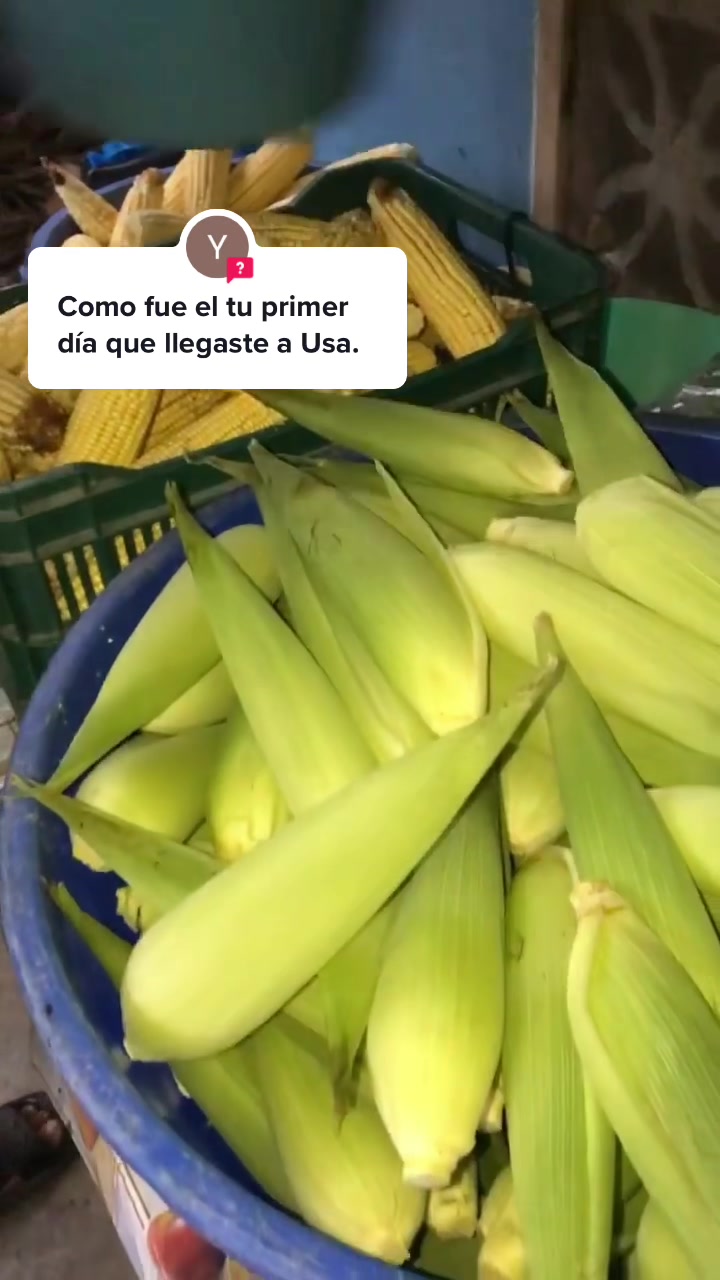 @Cuxiitoo