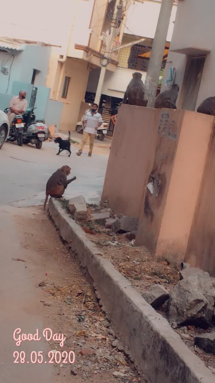 @Marwad ri gori🥰