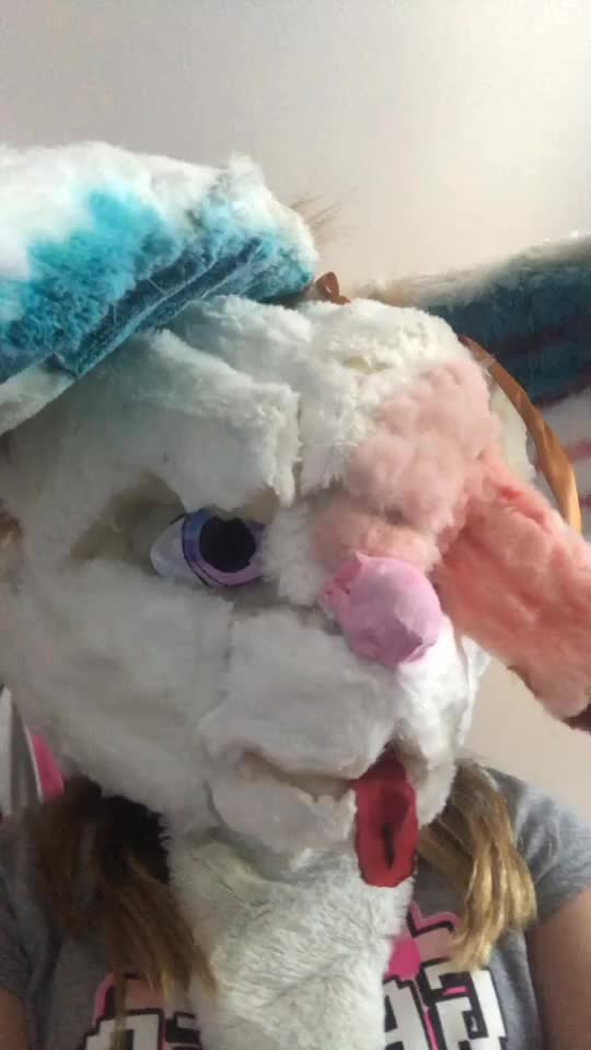 @Furry_Hype_House