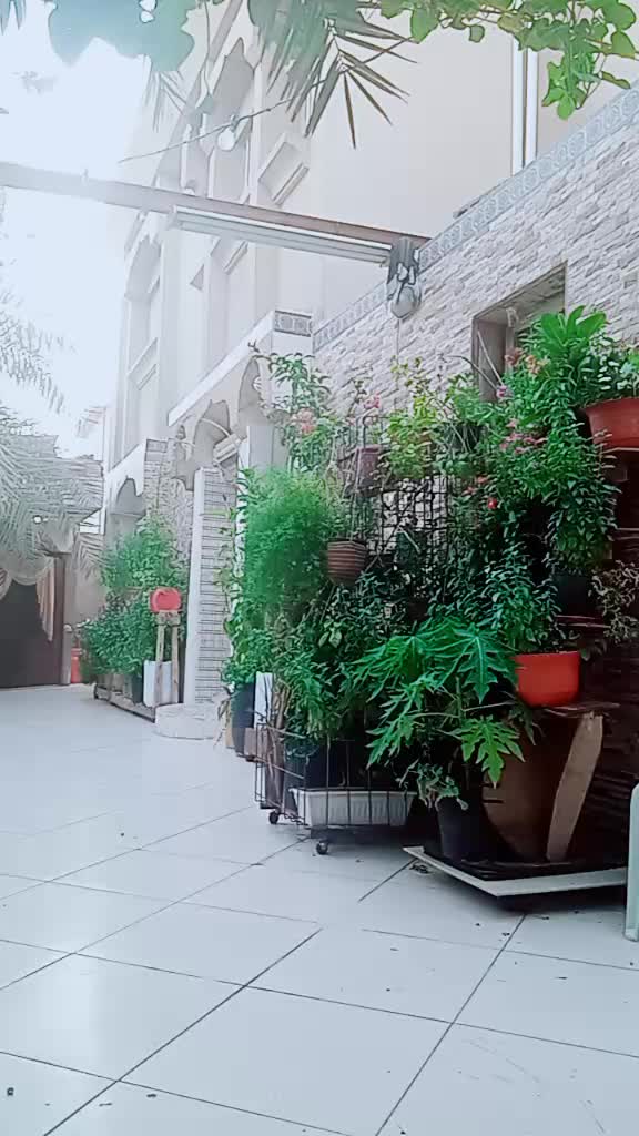 @user663452078166