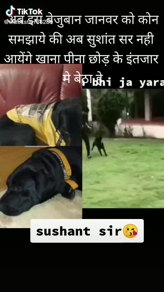 @{Aadeebaisoya}0007