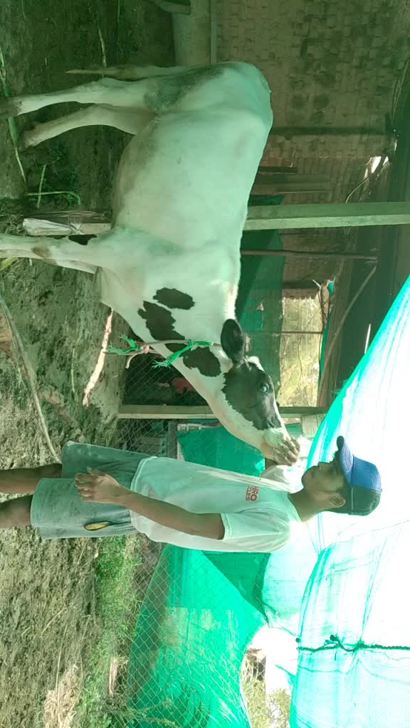 @Asif shaikh