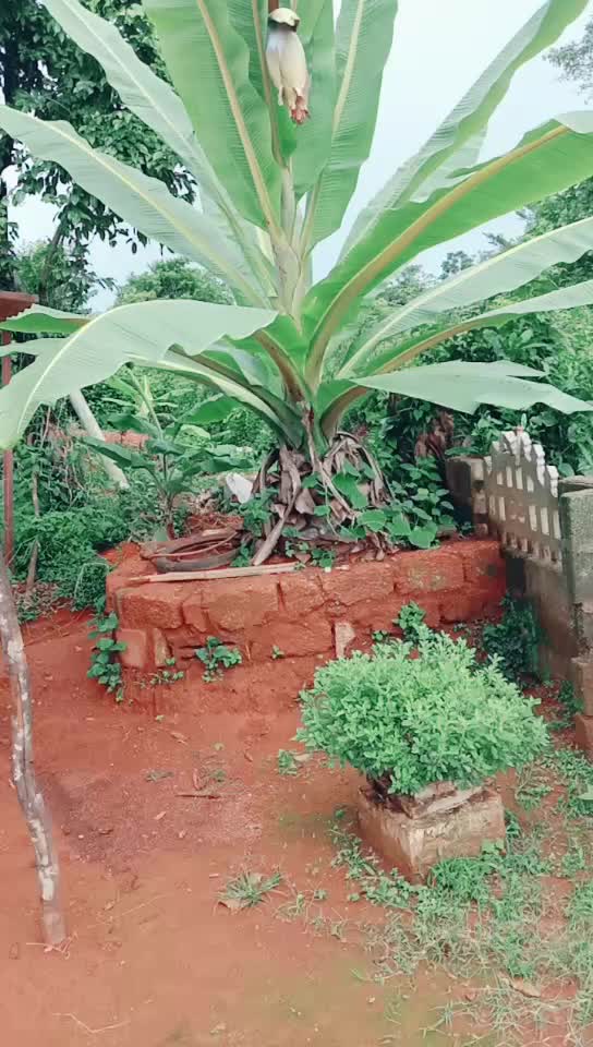 @Varshini Varshu