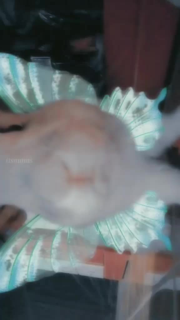 @nuxzsx🪐