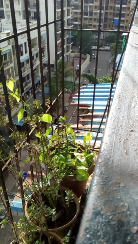 @kishor maskar