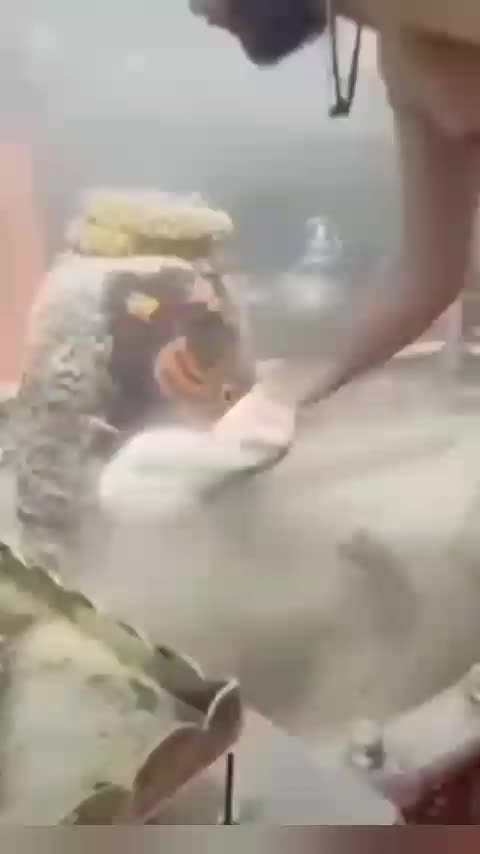 @paridwal 009