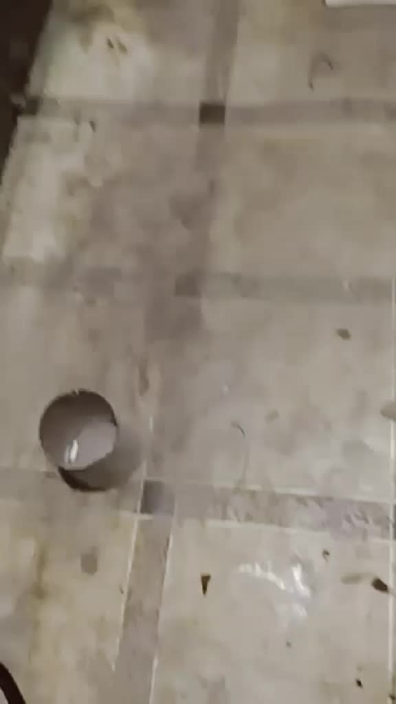 @Сергей