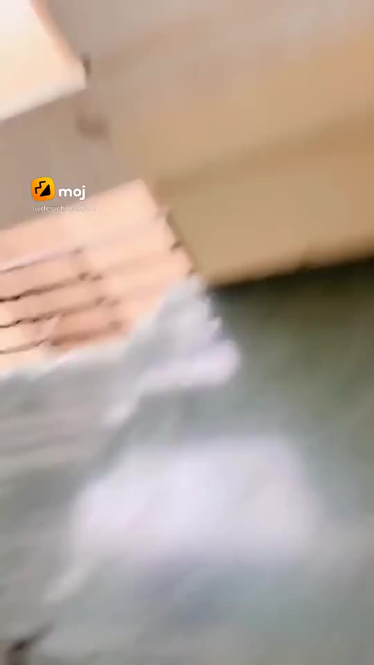 @Papa ka ladla