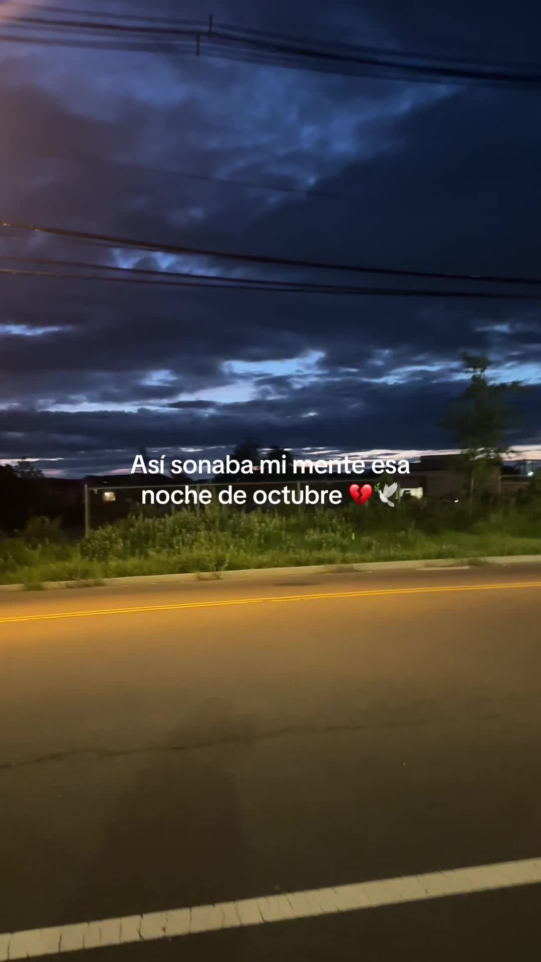 @🫀Lizette Mendoza❤️🦁