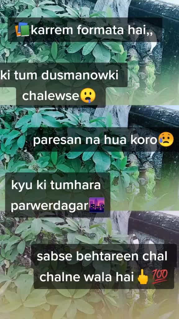 @Hena Rabbani
