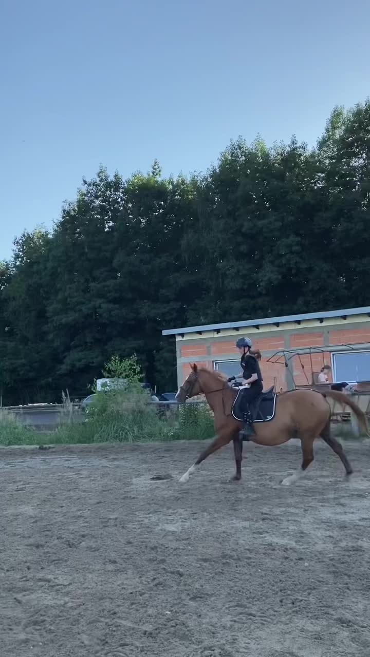 @W🦄