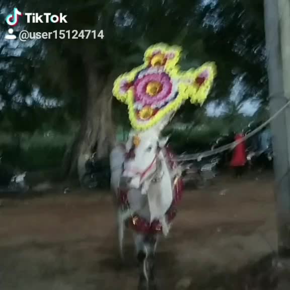 @user151247