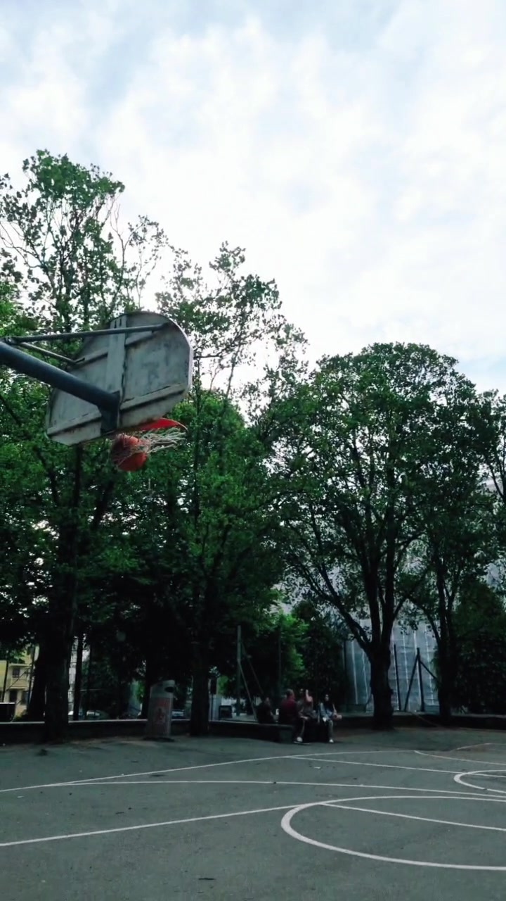 @Treeyflip