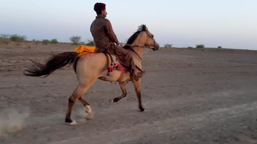 @Dhanrajsinh Bhadiyad