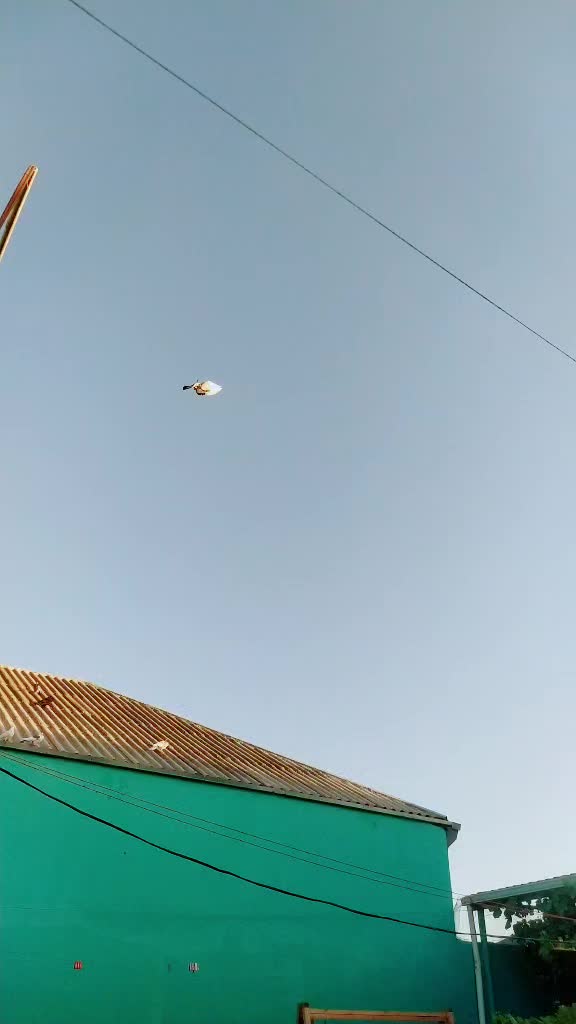 @Miri Baki 0505
