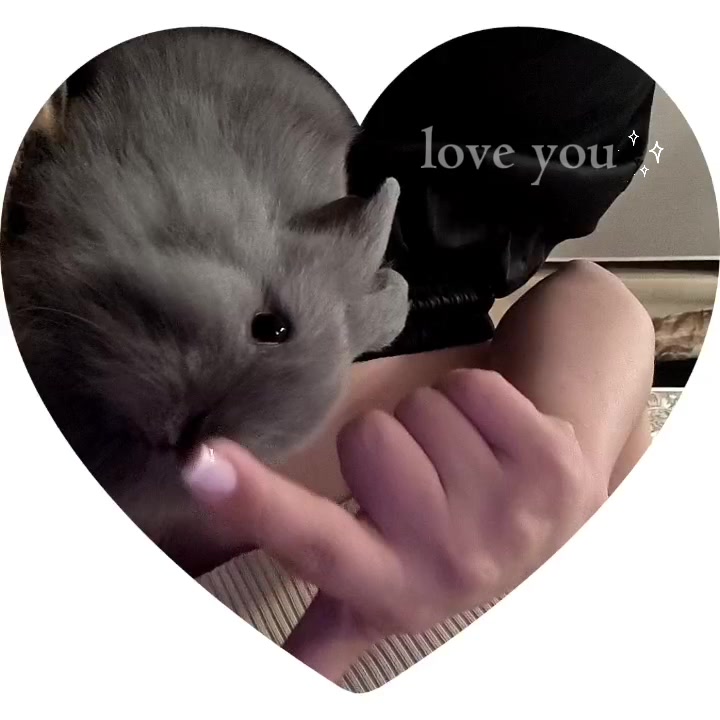 @Неко˙˚ʚ(&acute;◡`)ɞ˚˙