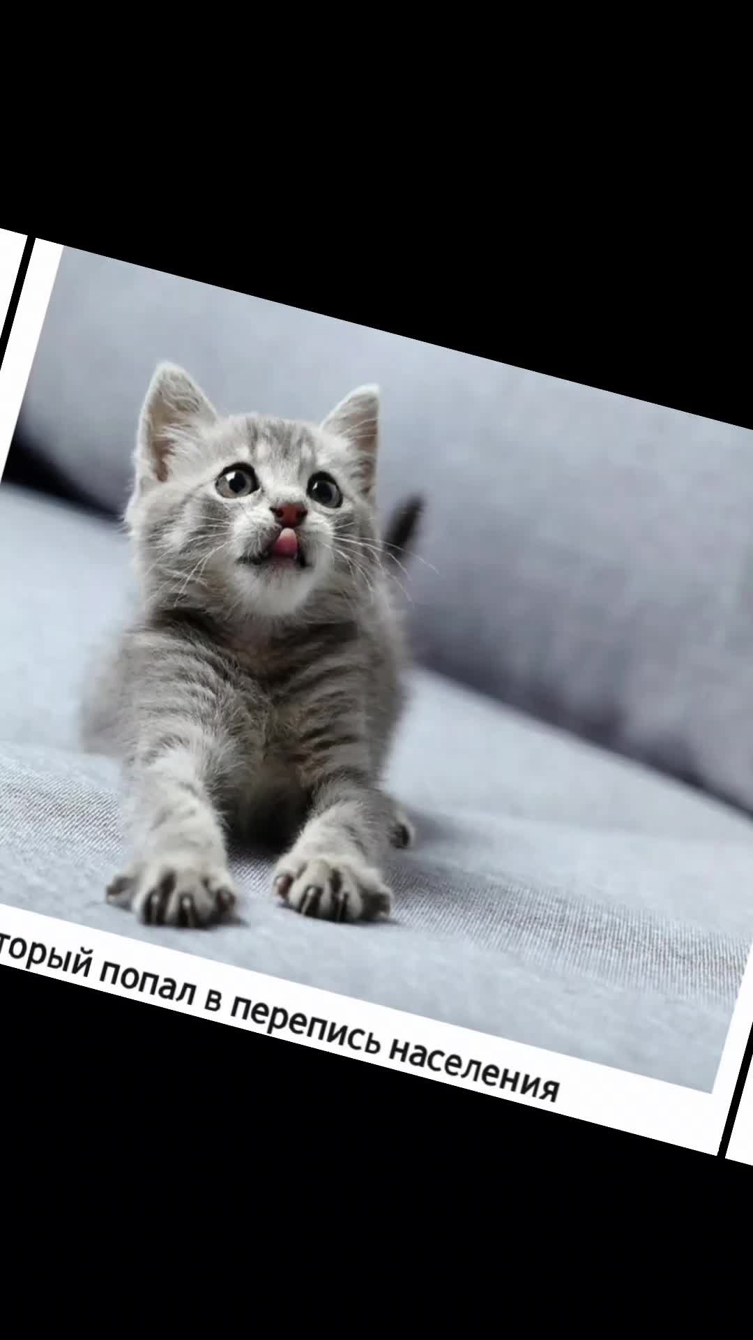 @вордлииииии