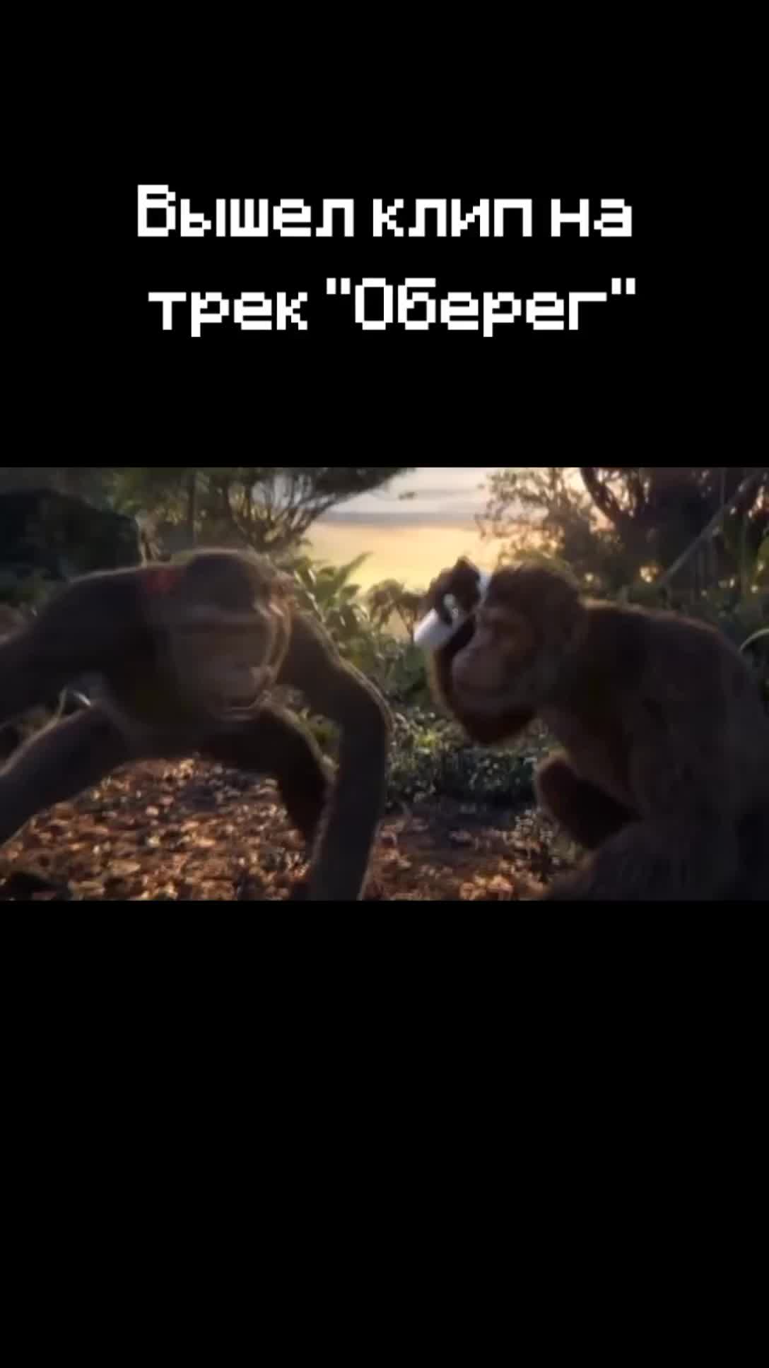 @TikTok🥏