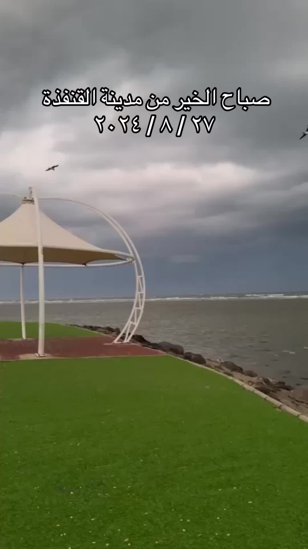 @القنفذة نت
