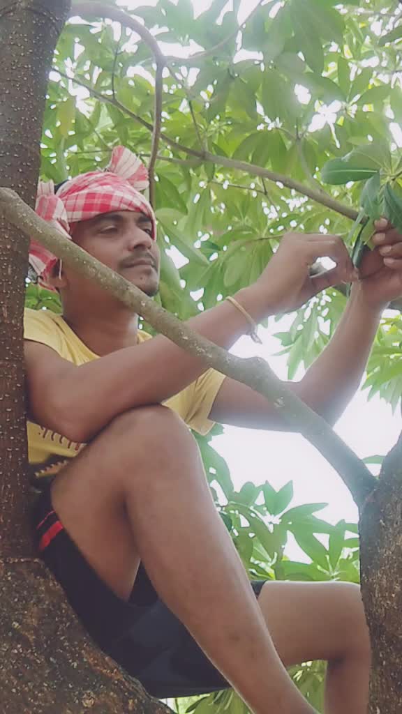 @Laxman Mahapatra