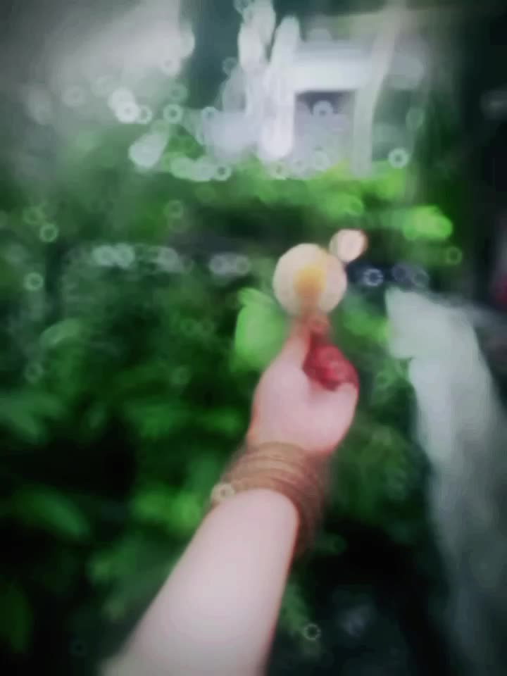 @𝗌𝗍𝗋&alpha;&omega;ᑲ𝖾𝗋𝗋𝗒🍓✨
