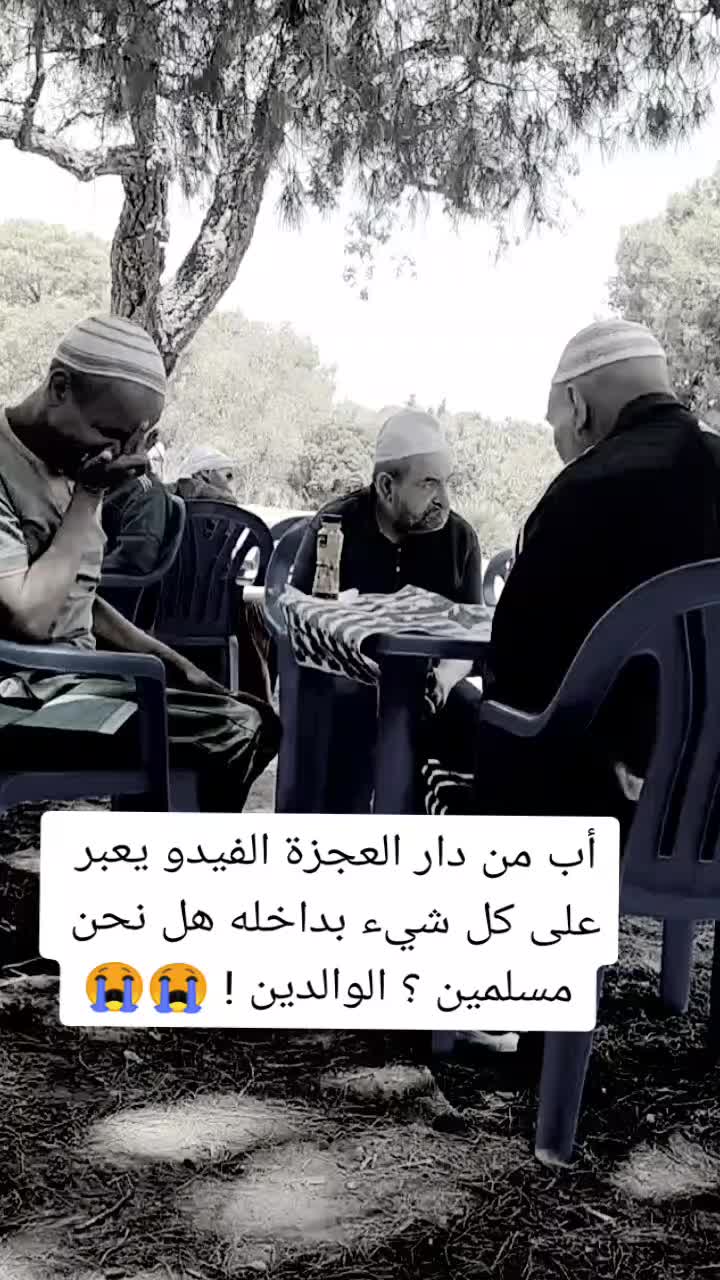 @mister fayou ميستر فايو pub 31
