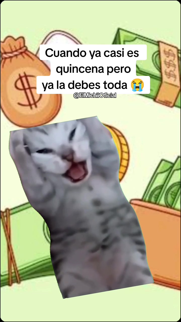 @El Michii
