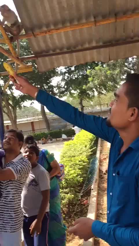 @pramod snp4142