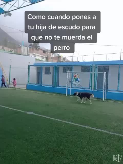 @Vicayquipa