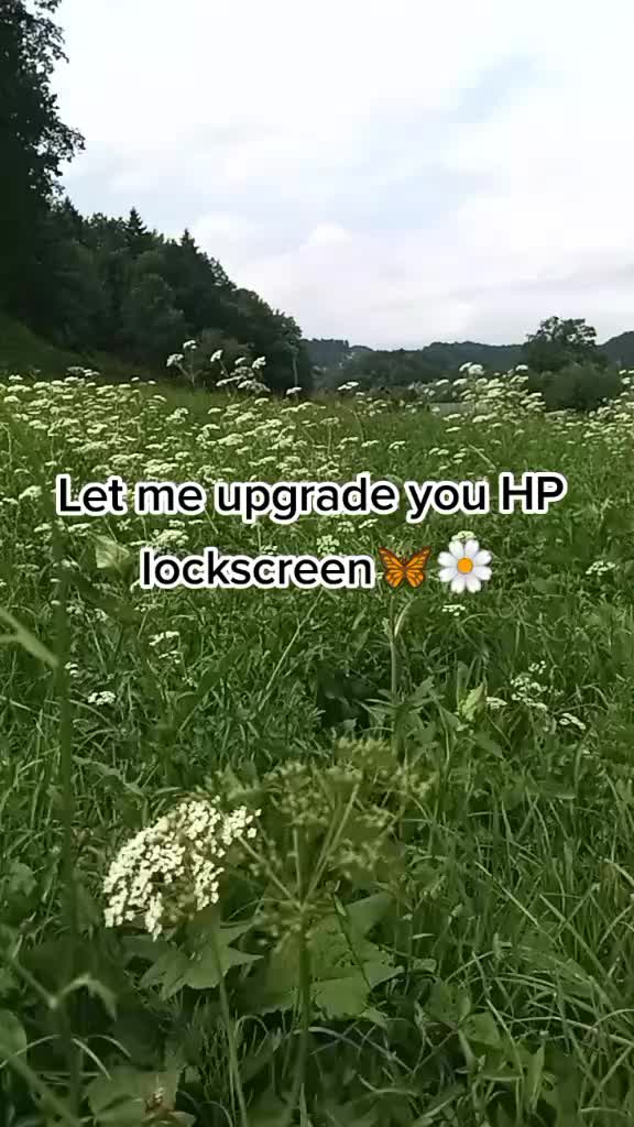 @How the HP boys would react🦋