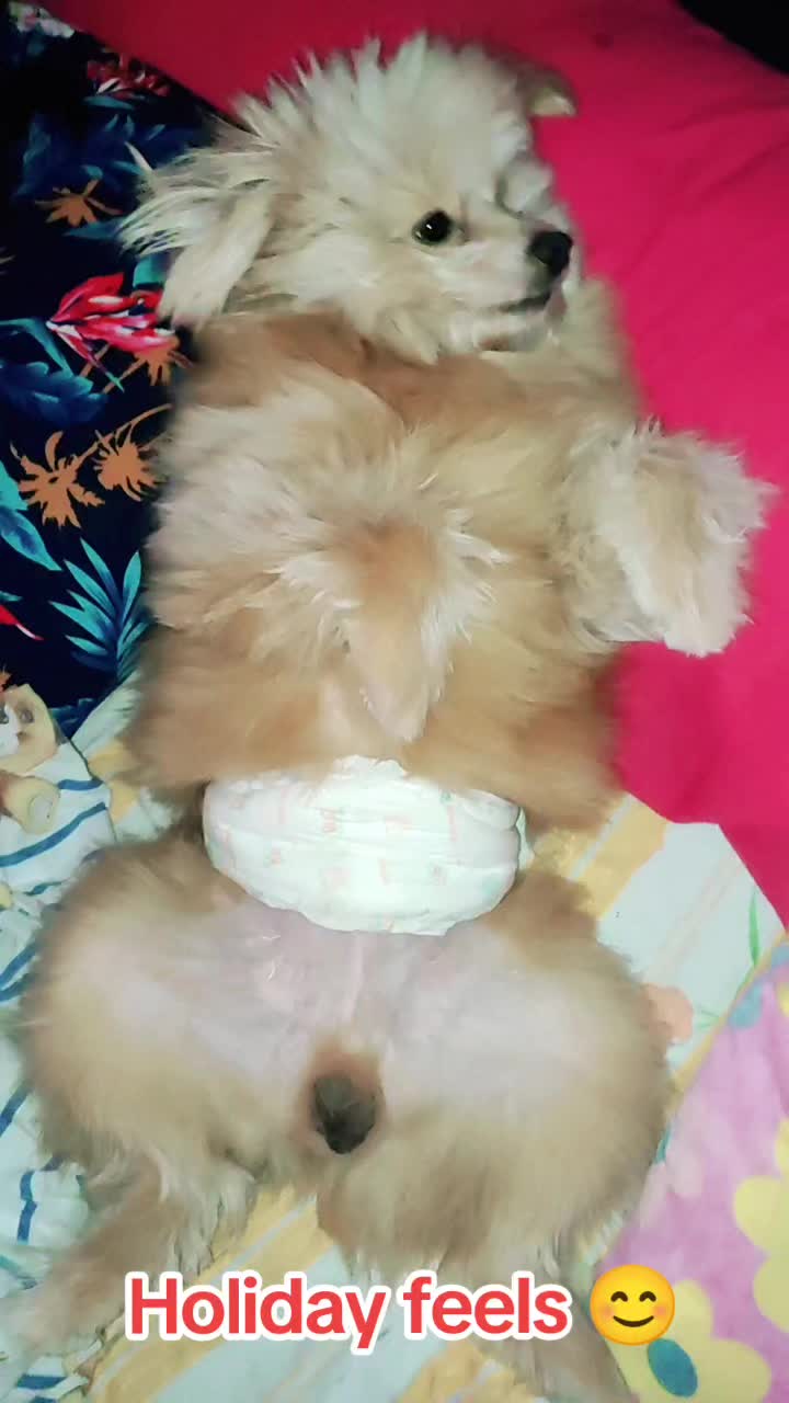 @Furmama