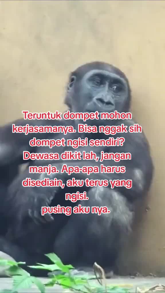 @@oye_yeti