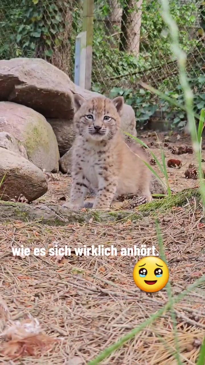 @WildparkLH