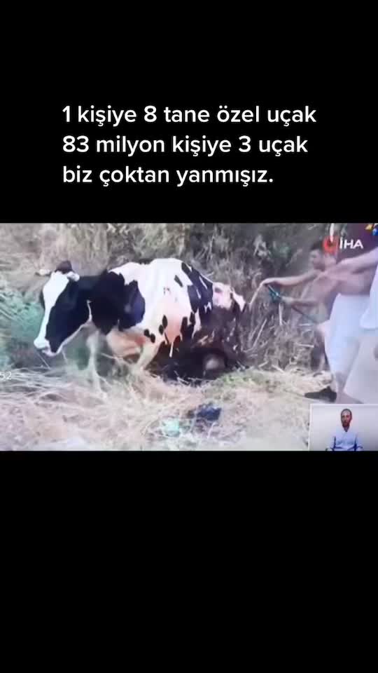 @_etemogutt